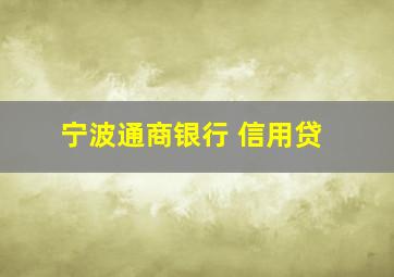 宁波通商银行 信用贷